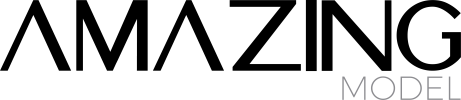 AMZ model